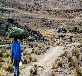 7 days Lemosho route climbing Kilimajaro