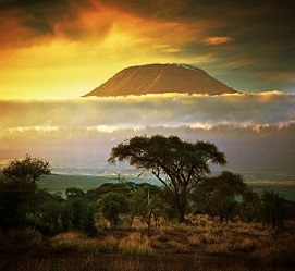 Umbwe route 7 days climbing Kilimanjaro
